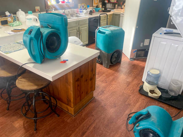 Best Flood damage cleanup  in Cardington, OH