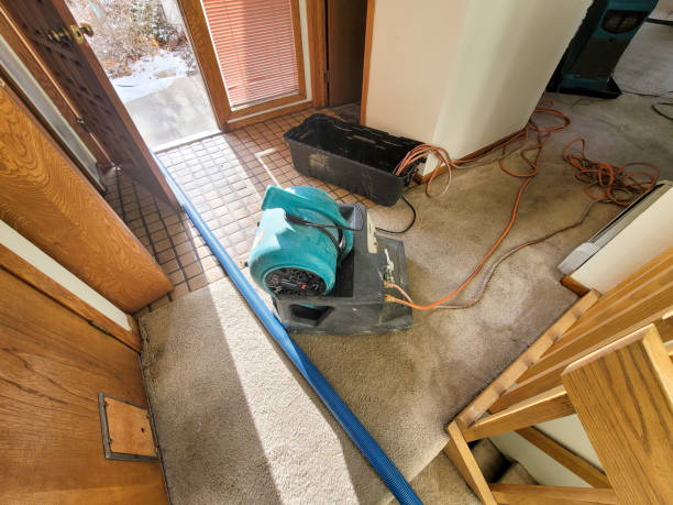 Water damage restoration mold remediation in Cardington, OH