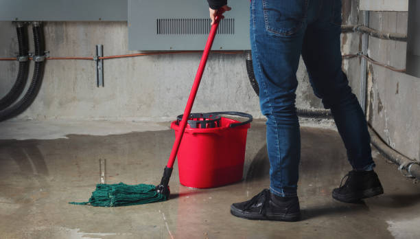 Trusted Cardington, OH Water damage restoration Experts