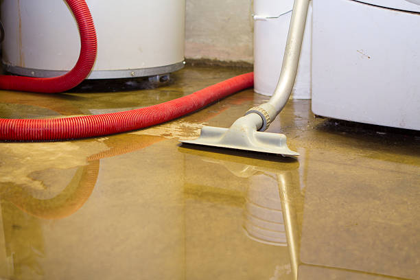 Best Local water damage restoration  in Cardington, OH